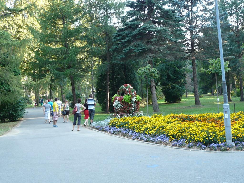 Villa Asturia Рыманув-Здруй Экстерьер фото